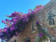 -大理洱海