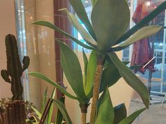 -朱光玉火锅馆(小寨原力场店)