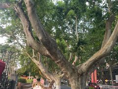 -南京维景国际大酒店(南京博物院店)