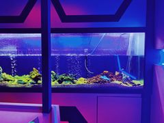 -MOJO密室逃脱(中街旗舰店)