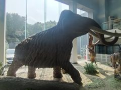 -中国第四纪冰川遗迹陈列馆