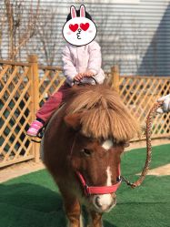 -萌宠亲子动物乐园(槐房万达店)