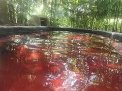 -融汇温泉