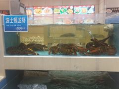 -双井轩(双井店)