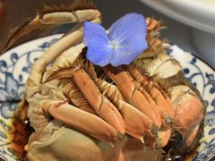 -顶特勒·黄鱼馆·特色菜(上海大世界店)