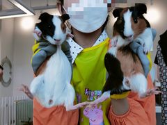 -怪兽屋·羊驼·猫咖·狗咖(俊华广场店)