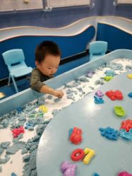 点击看大图 -酷嗒动物文化乐园(cutezoo西溪乐天城店)