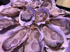 -千岛蚝高压锅生蚝·人参火锅(白云万达店)