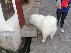 -阿安甜品(五一街店)