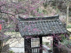 -黄公望隐居地