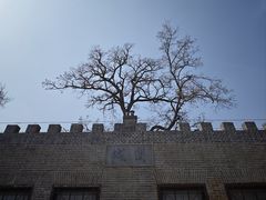 -桃花堤公园