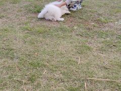 -漕湖湿地公园