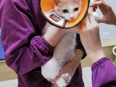 -惠康宠物医院(华能路店)