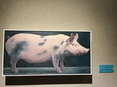 -大连美术馆