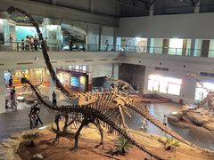 -自贡恐龙博物馆