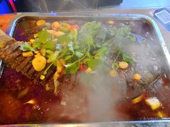 -沈胖子音乐烤吧·炒菜·龙虾(环城东路店)