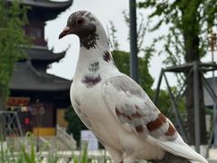 -重元寺