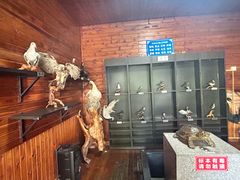 -南京金牛湖风景区