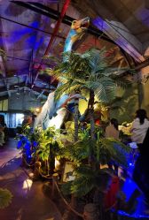 -恐龙探索乐园(磁器口店)