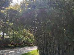 -南京晨光1865创意产业园