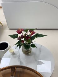 -薇兰专业脱毛连锁机构