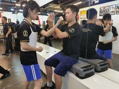 -温鉴良实用咏春拳