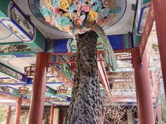 -大明幻境第一城