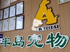 -半岛宠物医院24小时·内窥镜·牙科·碎石中心(府城大道店)