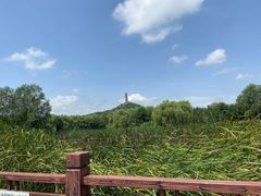 -北坞公园