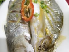 -蛇口康乐快餐鱼仔档(翠苑小区店)