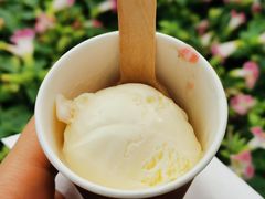 玫瑰荔枝覆盆子冰淇淋-哈根达斯(天河城店)