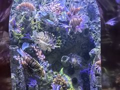 -太平洋海底世界