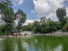 -莲湖公园