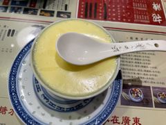 双皮奶-捷信牛奶甜品世家(五道口店)