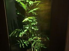 -虹之森·小馆