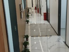 -泰康拜博口腔(松江印象城臻尔店)