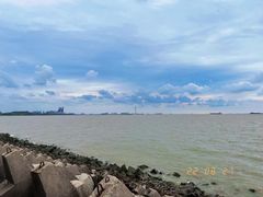 -上海滨江森林公园