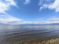 -月亮湾湿地公园