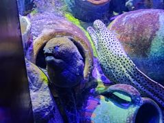 -太平洋海底世界