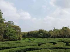 -大屏嶂森林公园