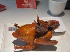 -侨美食家·41年地道粤菜(恒福路店)