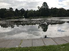 -墨尔本皇家植物园