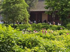 -洛阳白马寺