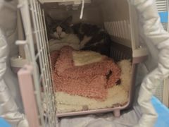 -美迦爱-牙专科·兔科·骨科诊疗中心(北苑店)