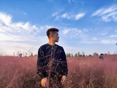 -汉长安城未央宫国家考古遗址公园