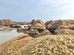 -浪琴湾度假村
