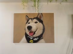 -Husky Go! 哈士奇体验馆·宠物咖啡厅狗咖