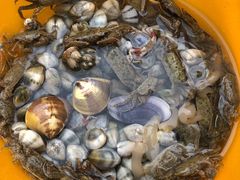 -北海金海湾红树林生态旅游区