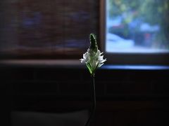 -一慈茶馆(雨田馆)