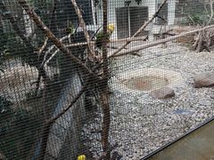 -九龙公园